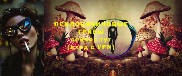 гидра Нягань