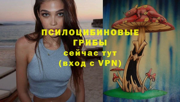 кристаллы Няндома