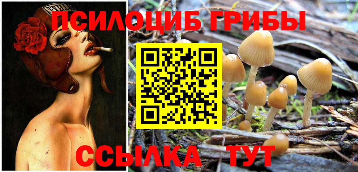 Псилоцибиновые грибы ЛСД Алейск