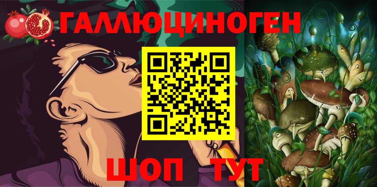Псилоцибиновые грибы Psilocybine cubensis Алейск