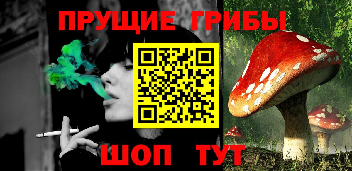 Псилоцибиновые грибы Psilocybe  Вход с VPN  Алейск 