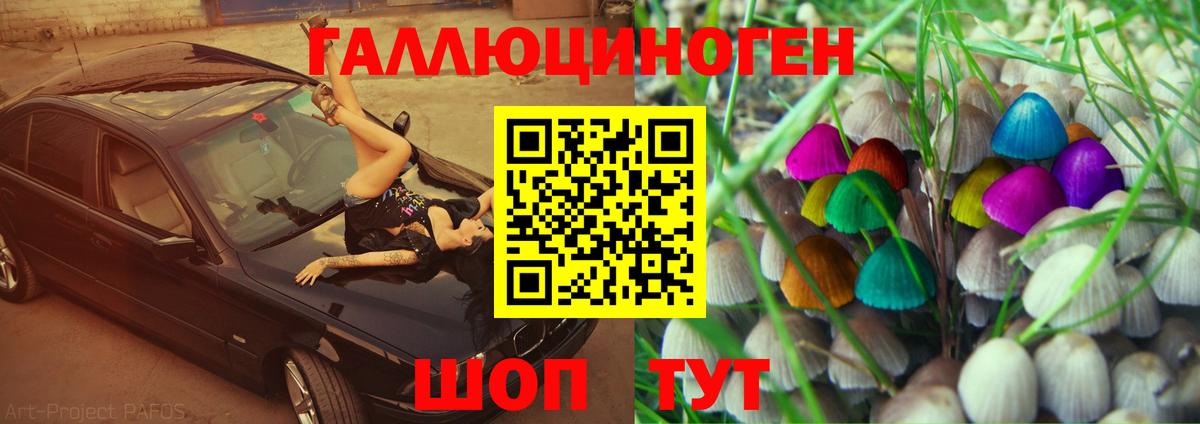 дарнет шоп  Алейск  Галлюциногенные грибы Psilocybe  Псилоцибиновые грибы Psilocybine cubensis 